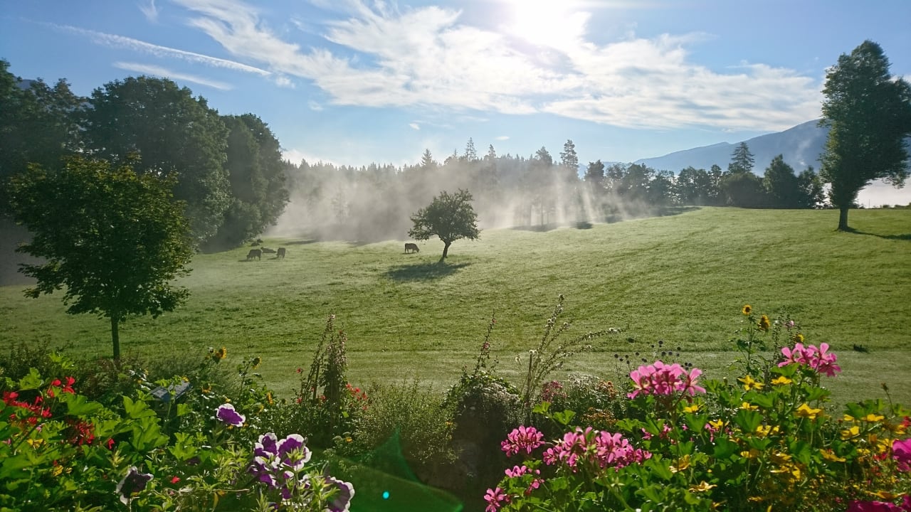 Ausblick Brandlhof