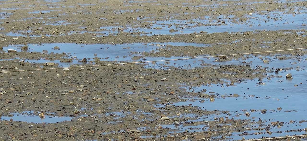 Strand Three Corners Equinox Beach Resort