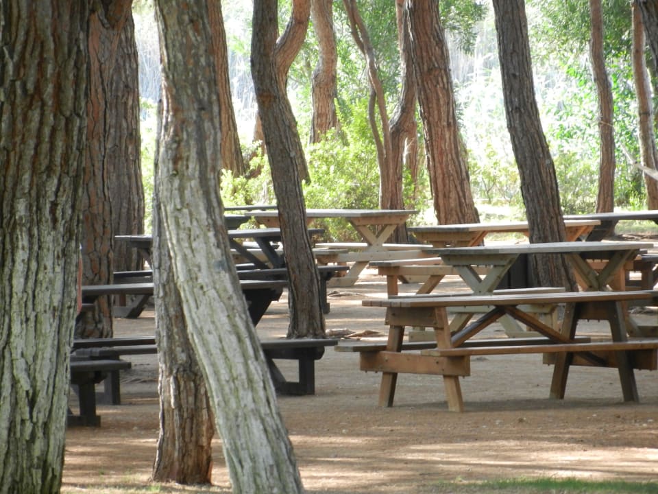 Xanadu  Xanadu Resort Hotel