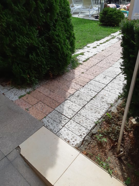 Gartenanlage Flamingo Grand Hotel & Spa