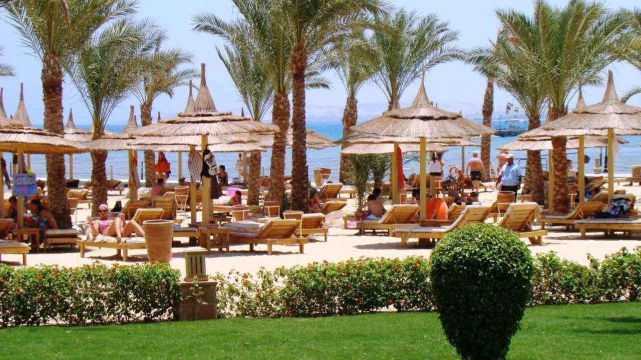 Widok na plaże Pickalbatros Palace Resort