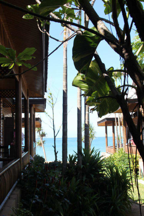 Blick von der Rezeption Richtung Meer Hotel Baan Pakgasri Hideaway