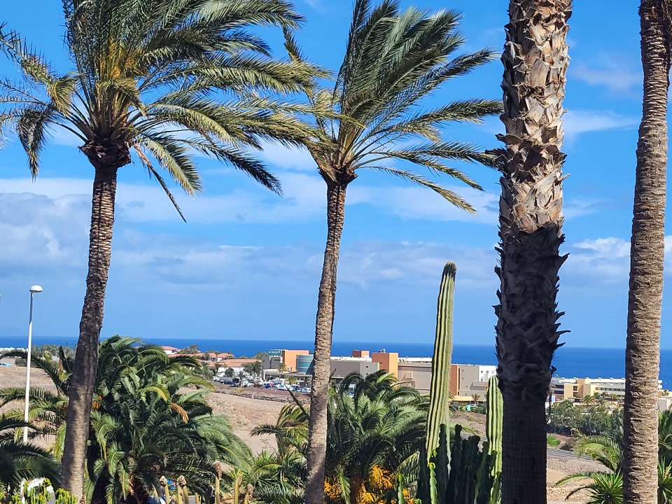 Ausblick Occidental Jandía Mar