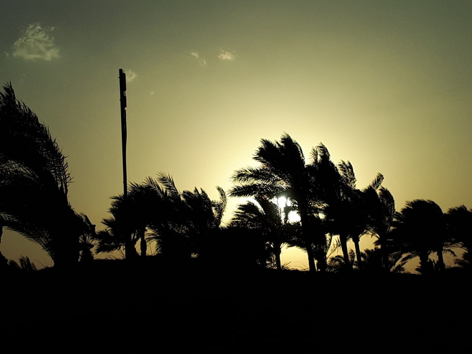 Ausblick Desert Rose
