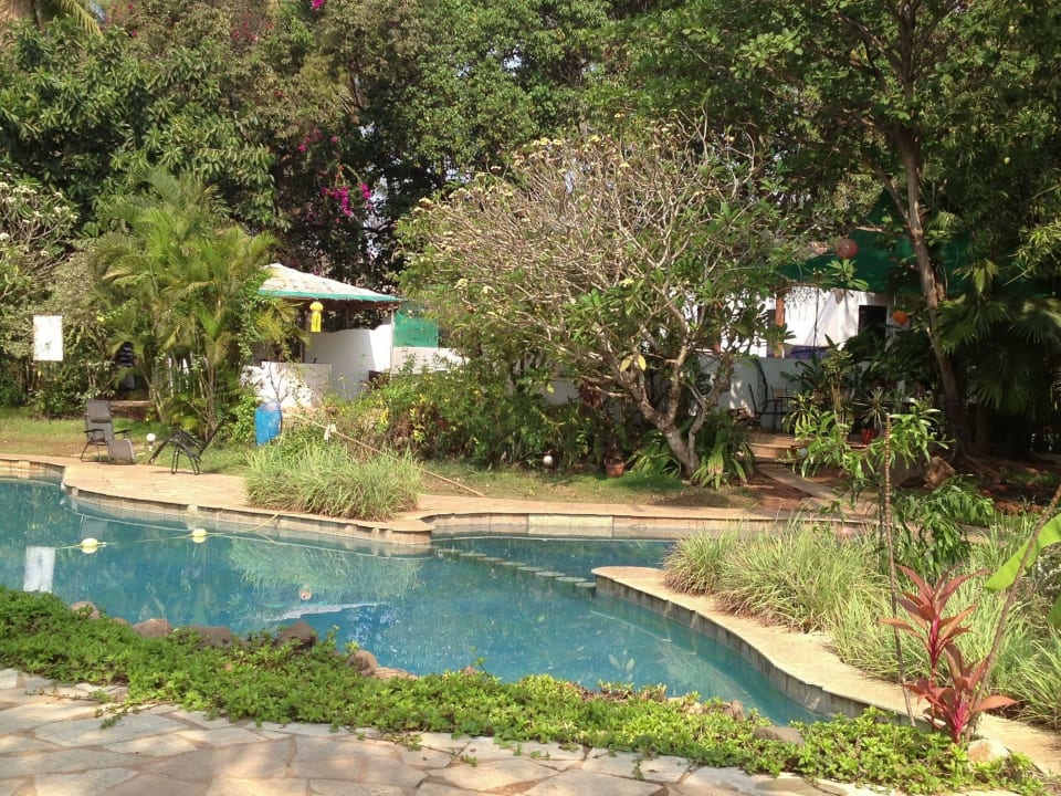 Pool Hotel Laguna Anjuna