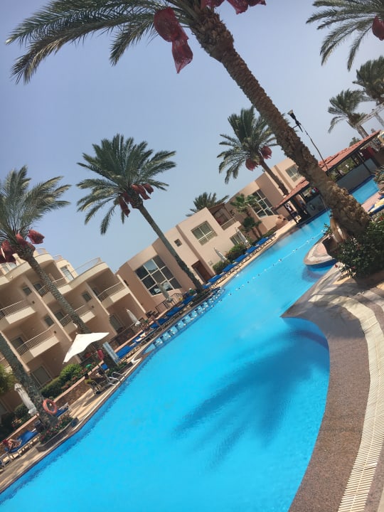 Pool Sea Star Beau Rivage