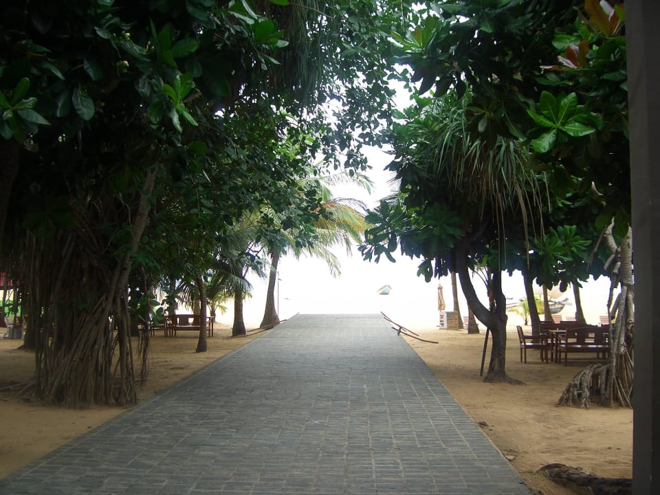 Strand.  Hotel Jetwing Beach