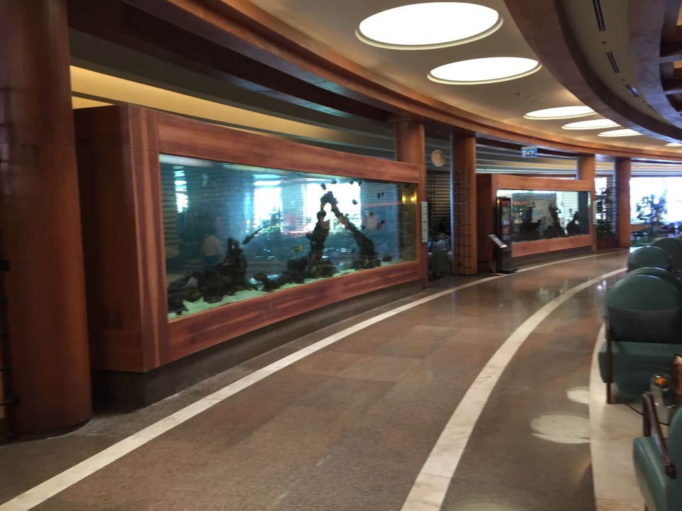 Lobby Gloria Serenity Resort