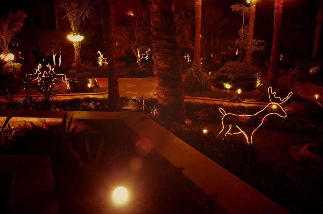 Gartenanlage kurz vor Weihnachten Jaz Makadi Oasis Resort