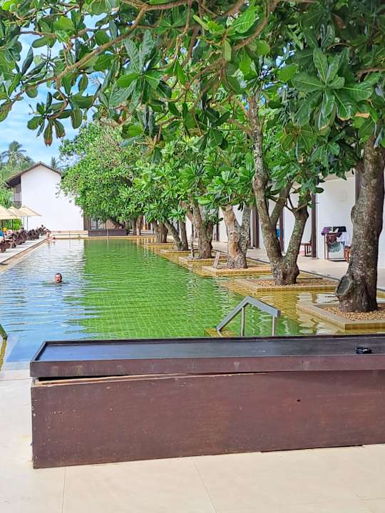 Pool Pandanus Beach Resort & Spa