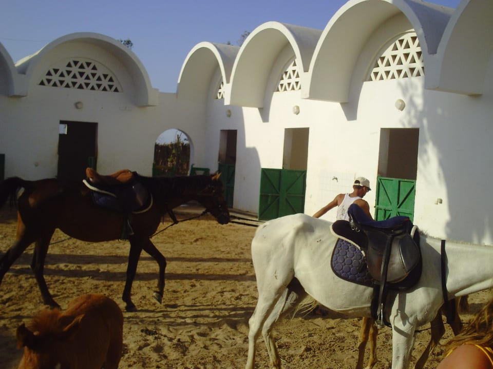 Elrancho Hotel Mercure Hurghada