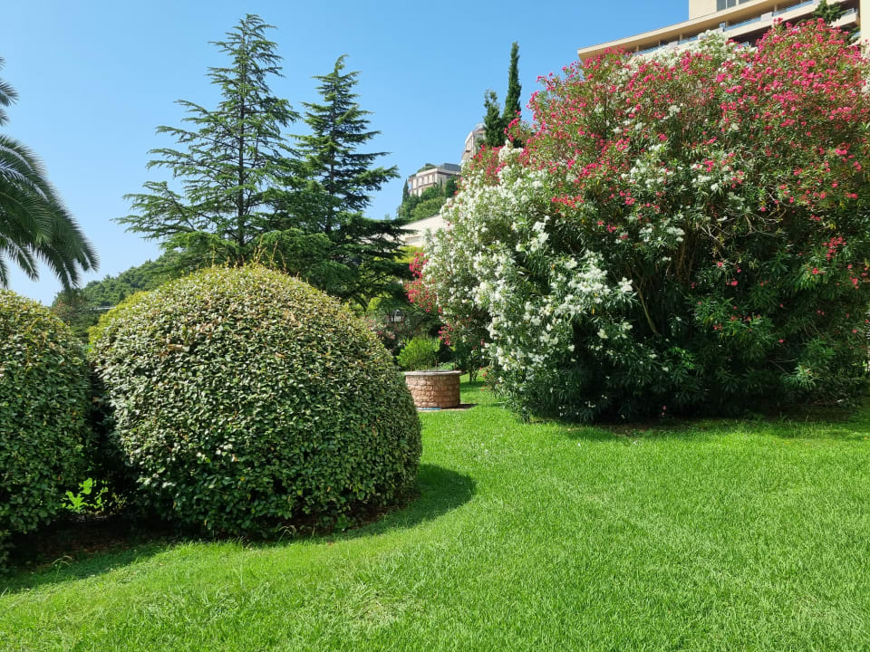 Gartenanlage Iberostar Waves Bellevue