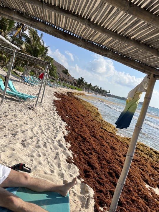 Strand Akumal Bay Beach & Wellness Resort