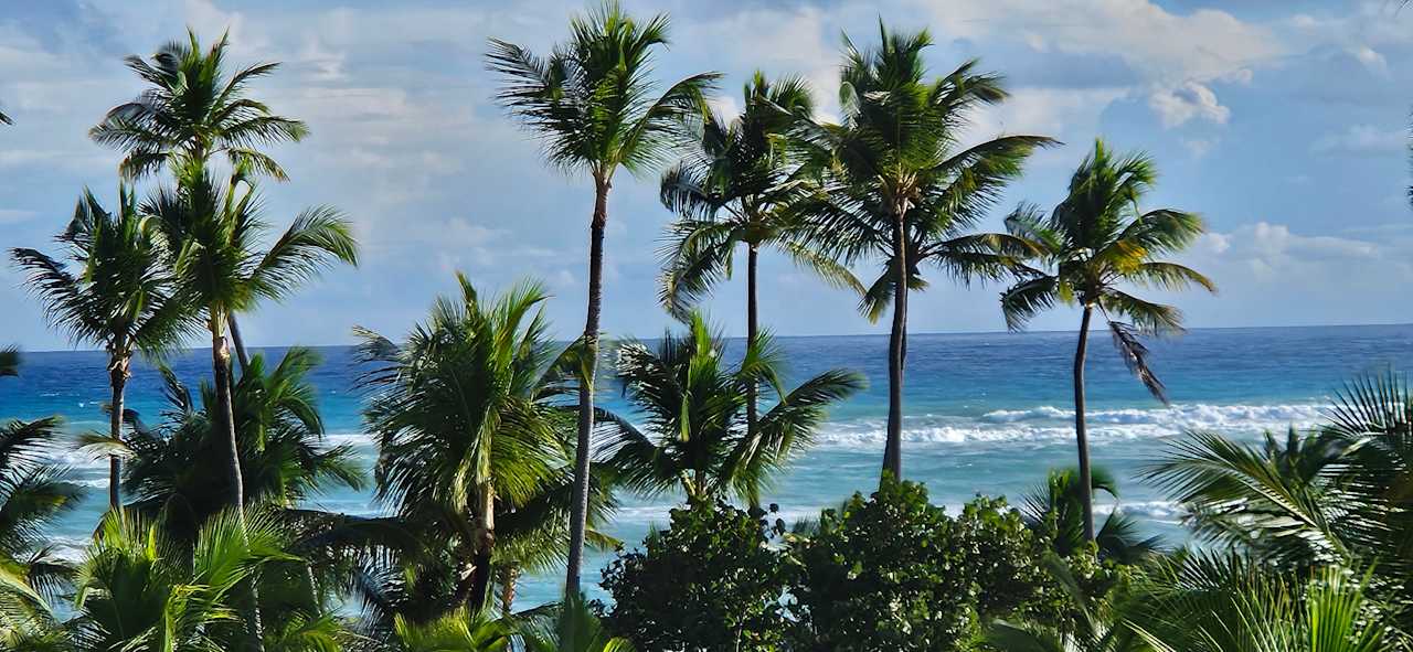 Sport & Freizeit Hotel Riu Palace Punta Cana