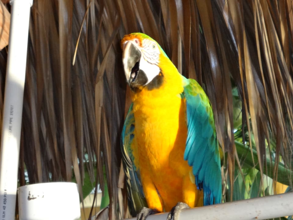 Gastro Hampton Inn Key Largo