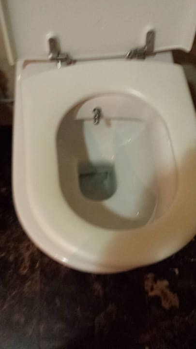 Super für Rollstuhlfahrer, wenn es rutscht. PALOMA Perissia