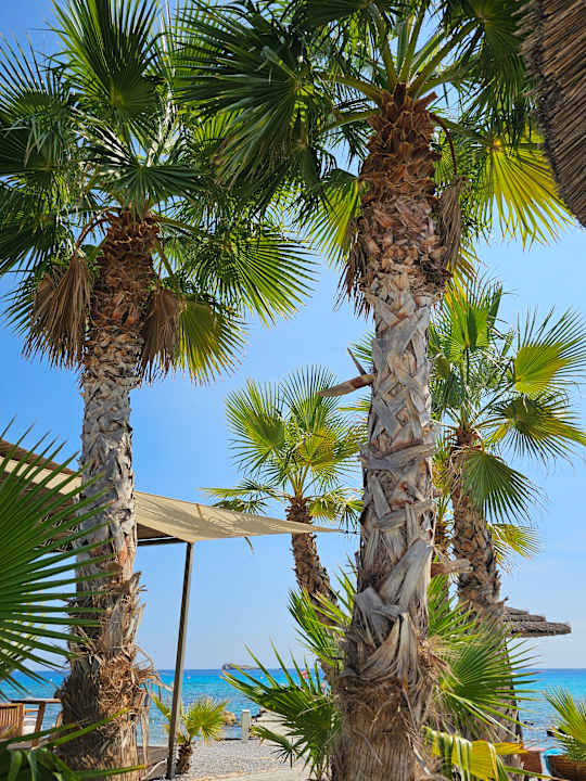 Gartenanlage Aquagrand Artistic Luxury Beach Resort - Adults only