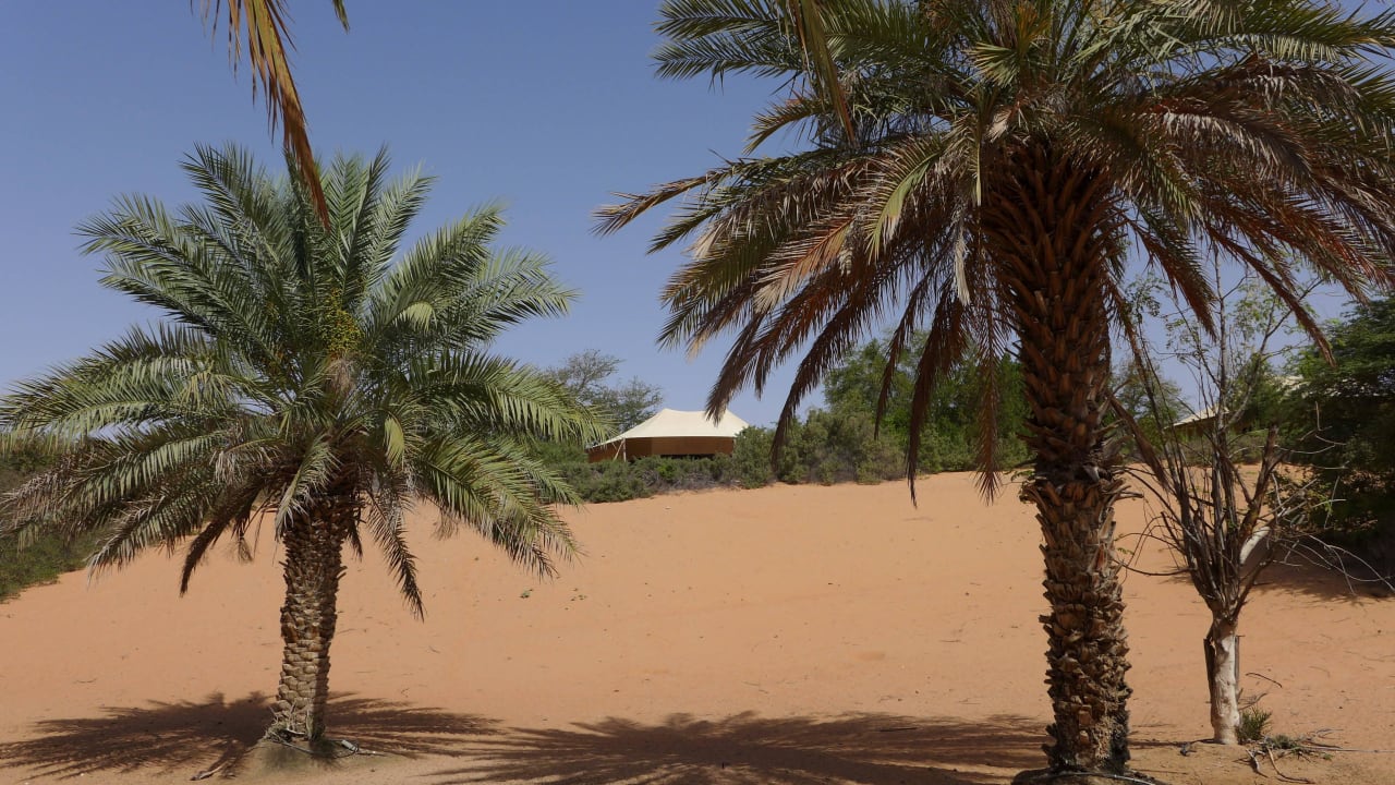 Blick auf unser Zimmer Al Maha, A Luxury Collection Desert Resort & Spa