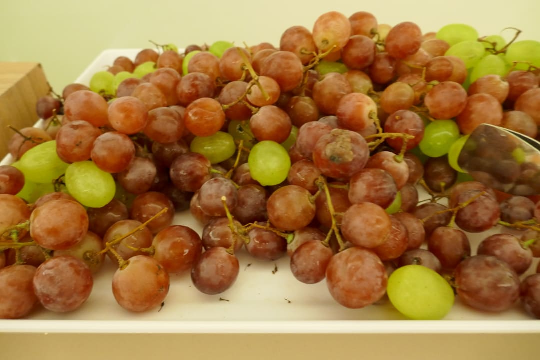 Gastro Sabina Hotel & Suites