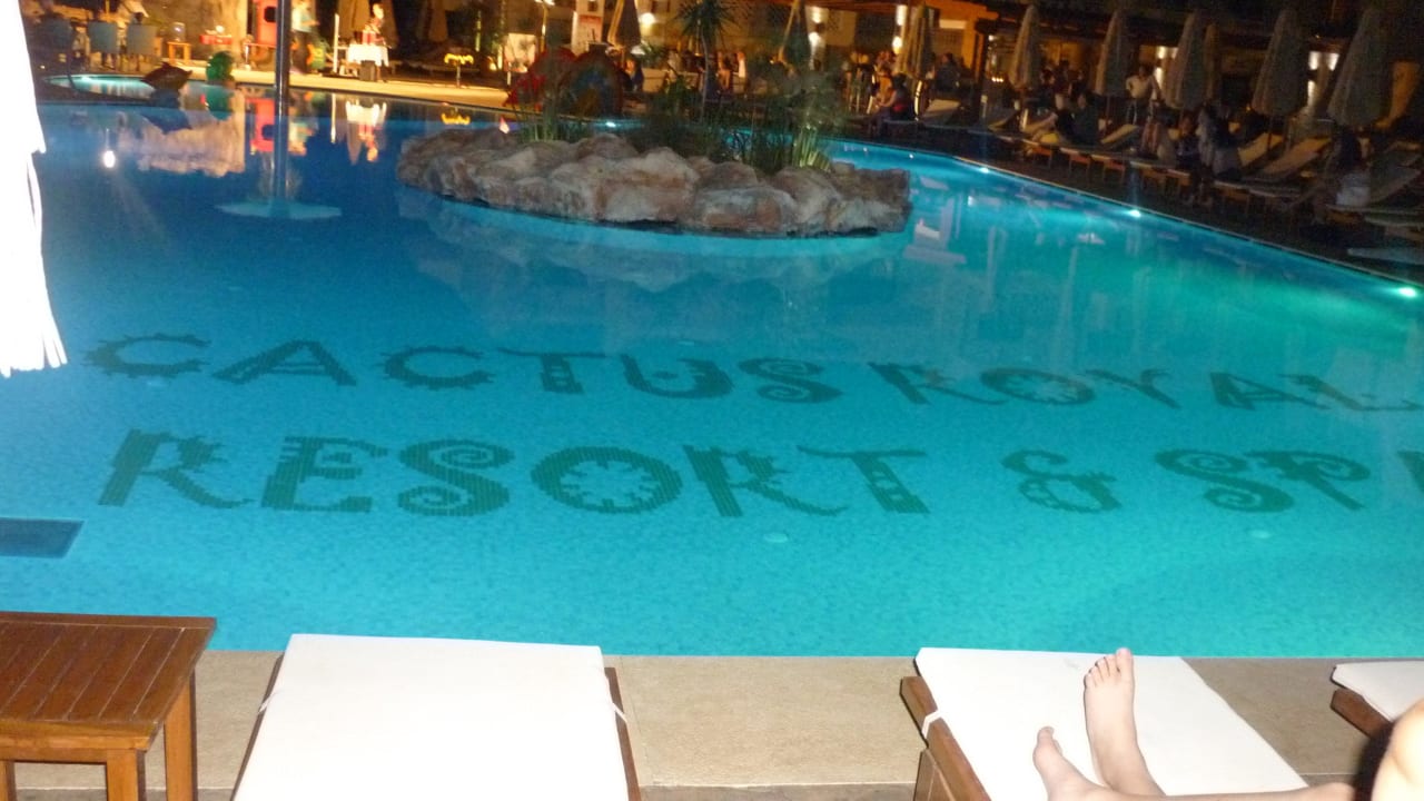 Pool am Abend Cactus Royal