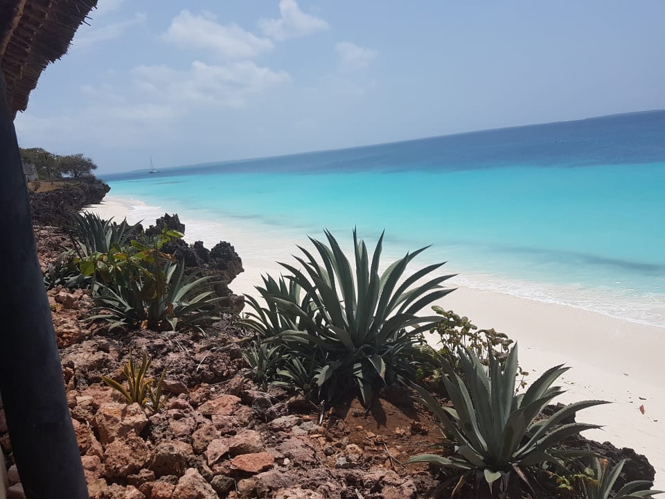 Gastro Royal Zanzibar Beach Resort