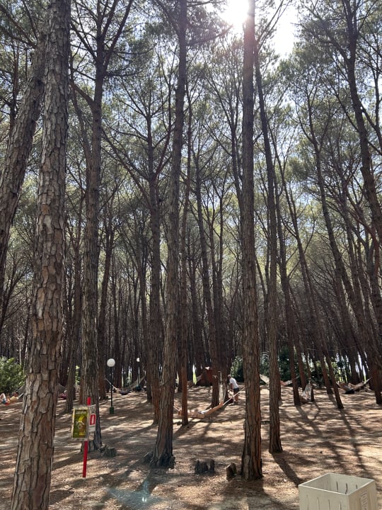 Strand TUI MAGIC LIFE Calabria