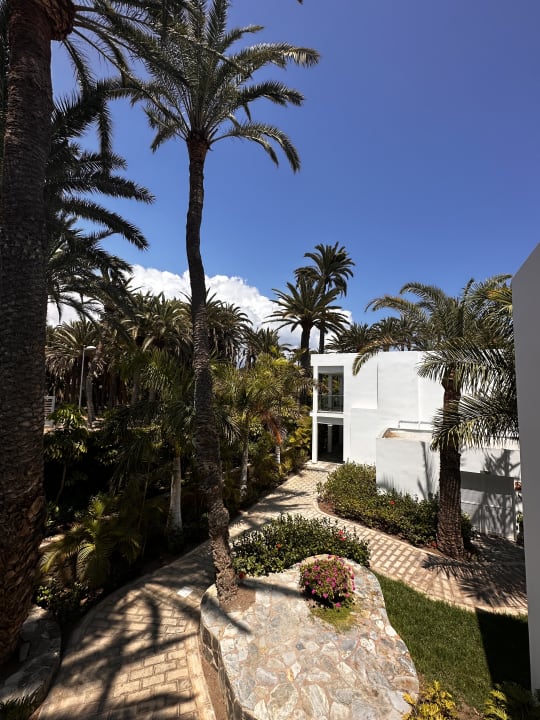 Ausblick Hotel Riu Palace Oasis