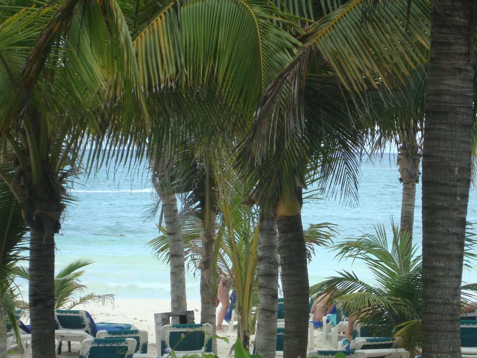 Hotel Catalonia Playa Maroma Catalonia Playa Maroma