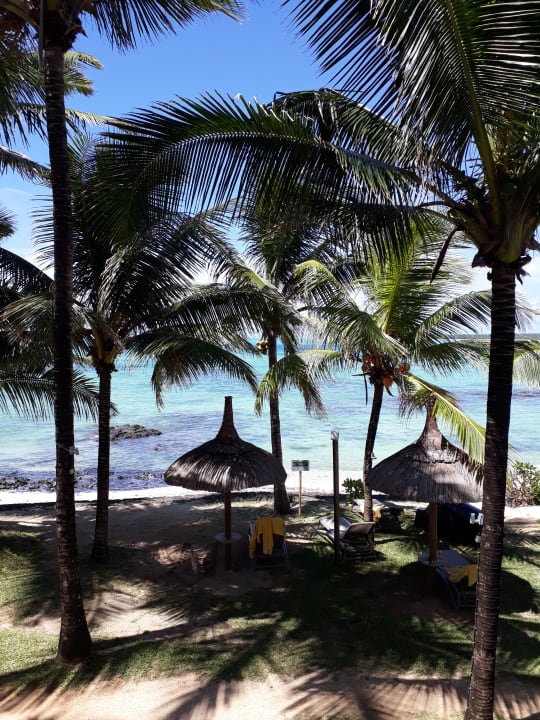 Ausblick Tropical Attitude - Adults only