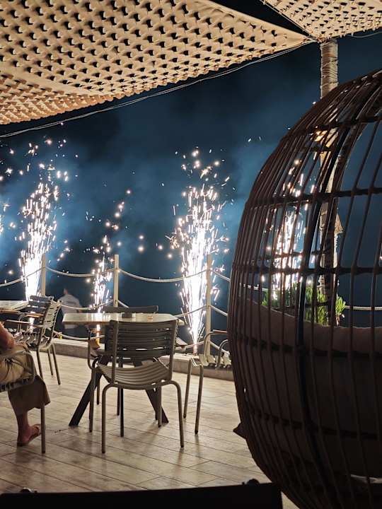 Strand Seashell Vega