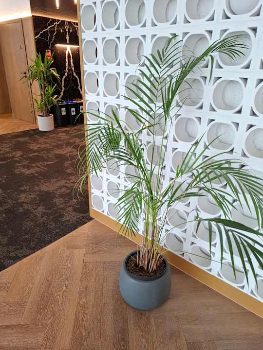 Lobby Qubus Hotel Katowice