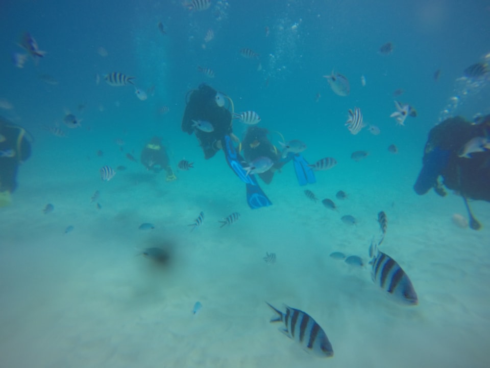 Sport & Freizeit Victoria Beachcomber Resort & Spa