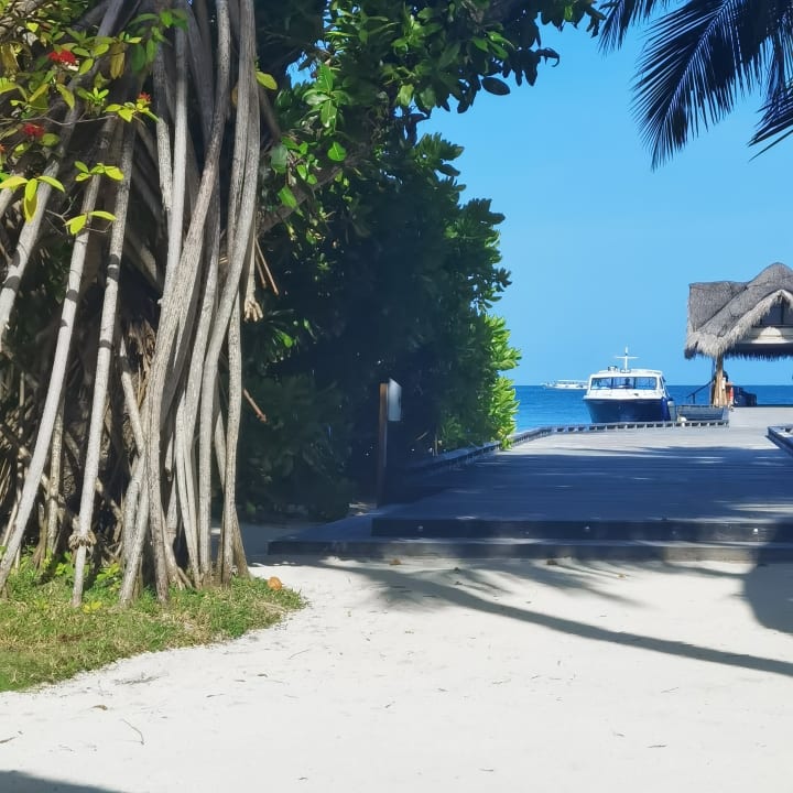 Ausblick Kuramathi Maldives