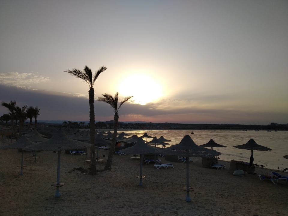 Strand Malikia Resort Abu Dabbab