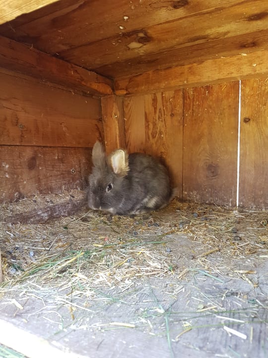 Sonstiges Familienhotel Hinteregger