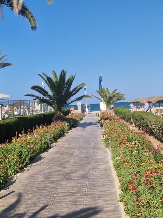 Gartenanlage Marhaba Royal Salem