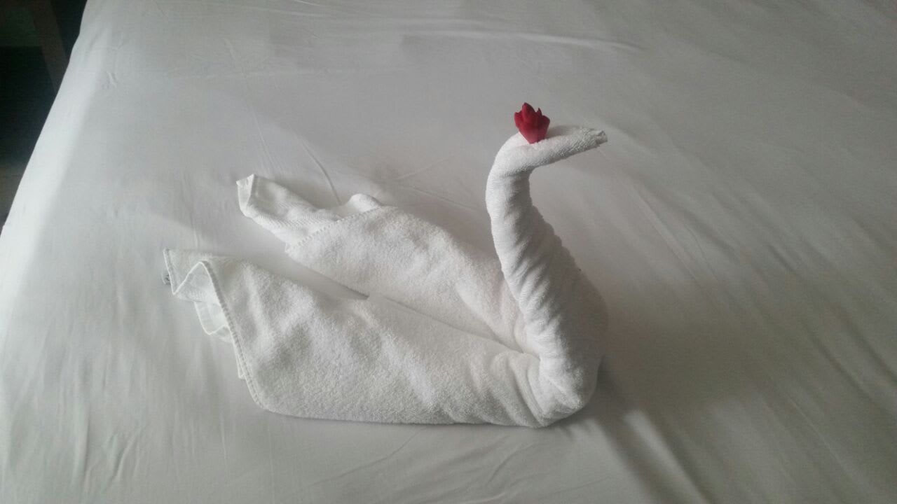 Zimmer Grand Paradise Playa Dorada