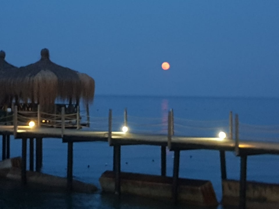 Ausblick Crystal Flora Pearl Collection