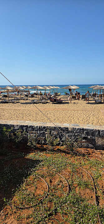 Strand allsun Hotel Carolina Mare