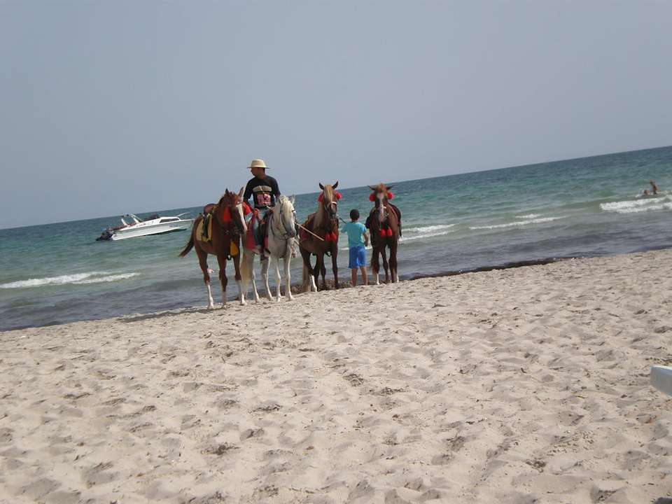 Pferde am Strand Djerba Sun Beach Hotel & Spa
