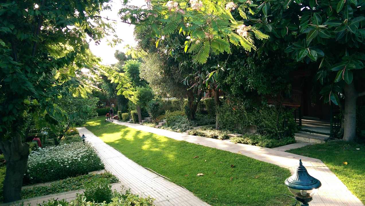 Blick vom Balkon Can Garden Beach
