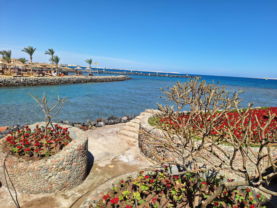 Ausblick Desert Rose