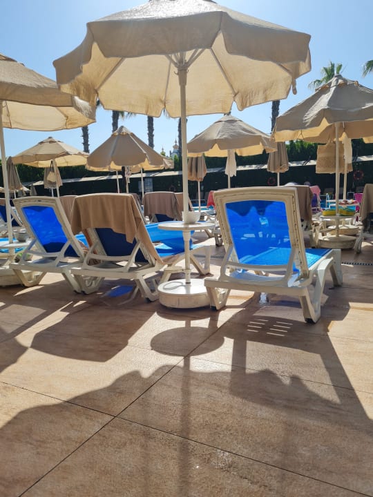 Pool Hane Family Resort