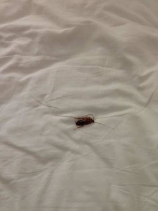 Bed KC Grande Resort Koh Chang