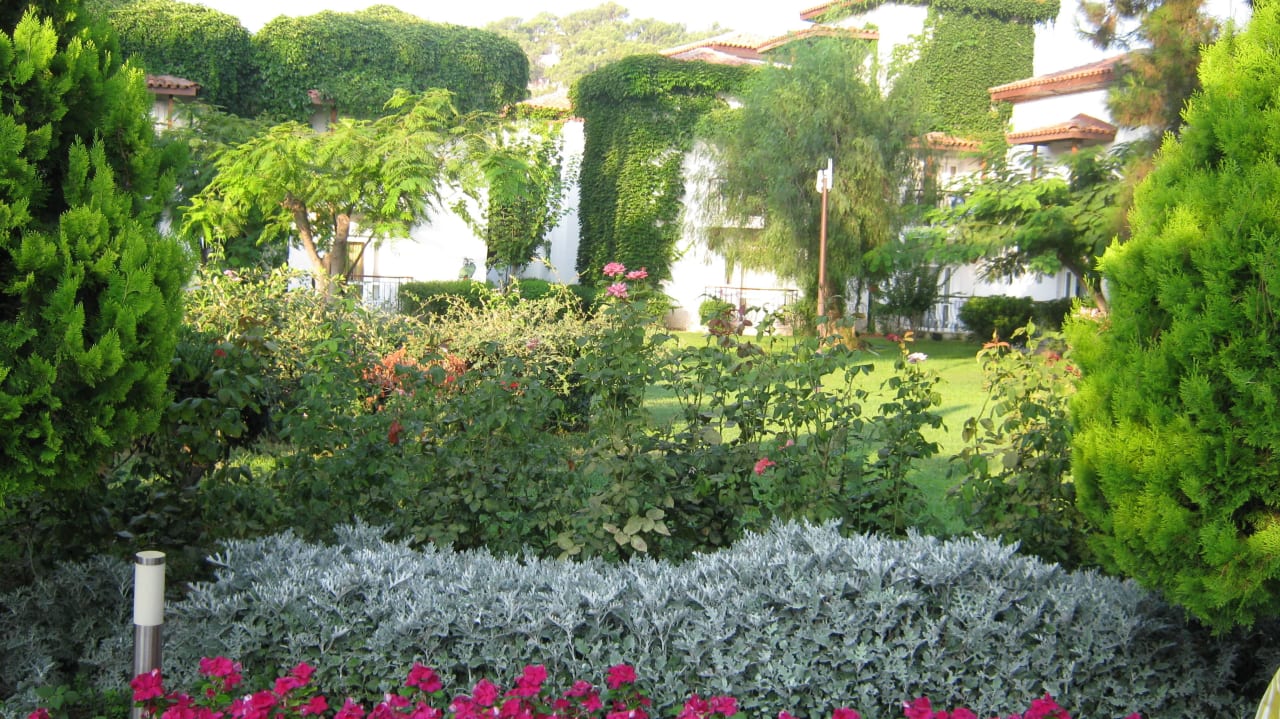 Цветник Club Marco Polo