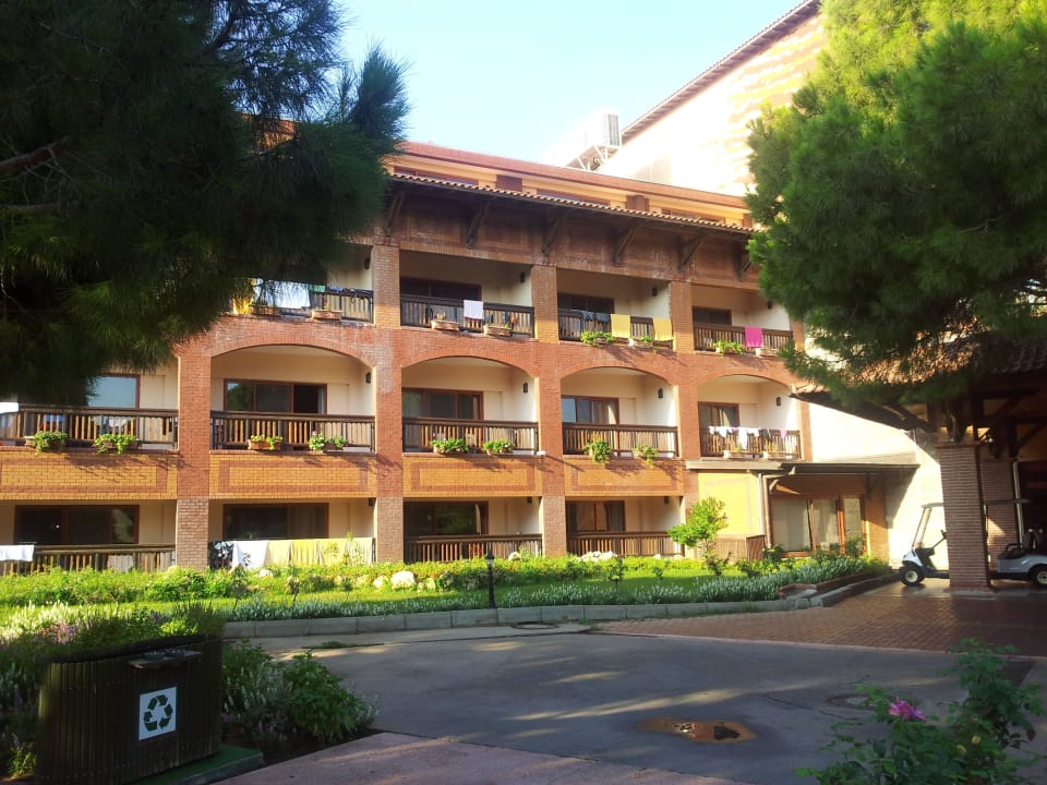  Frontansicht Papillon Belvil