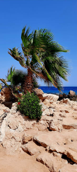 Strand Pickalbatros Citadel Resort