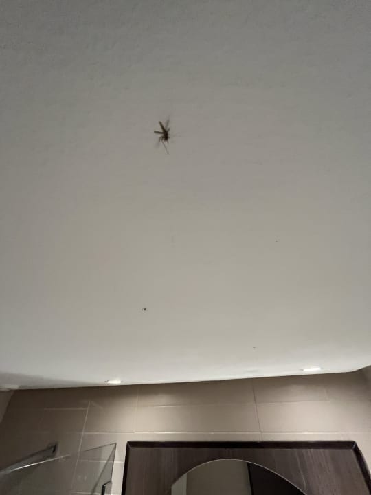 Zimmer Hotel Rosa Beach