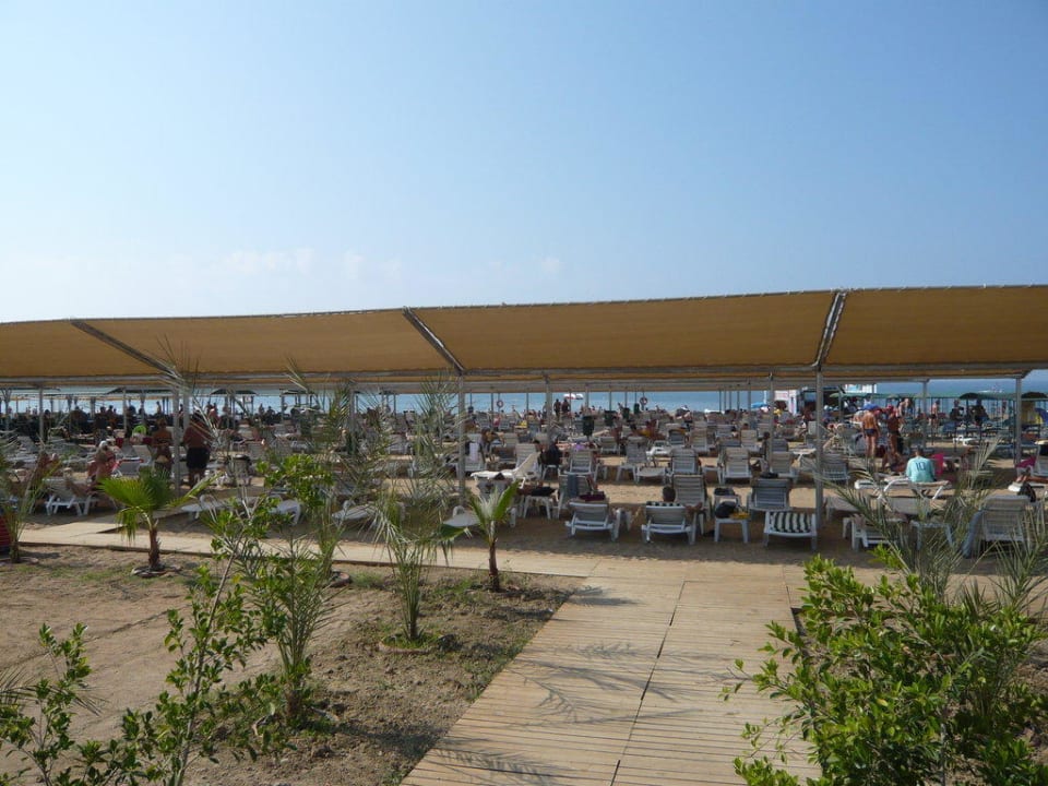 Die Liegen füllen sich langsam Seamelia Beach Resort