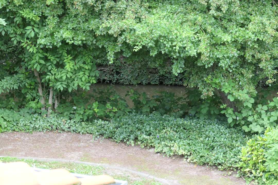 Ausblick Architektenhaus am Pewsumer Tief